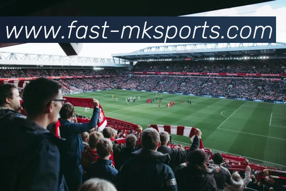 球赛投注APP 封面图